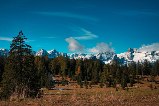 Bergpanorama Spitzmauer & Großer Priel