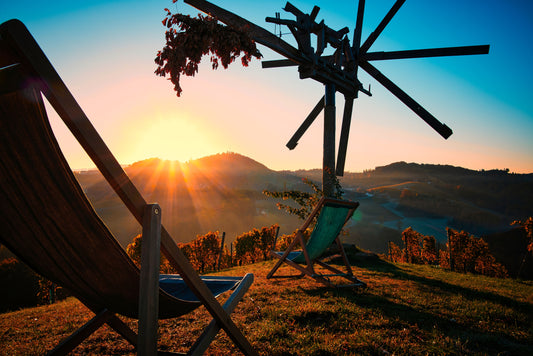 Weinberge bei Sonnenaufgang