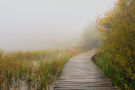 Herbst Plitvicer Seen