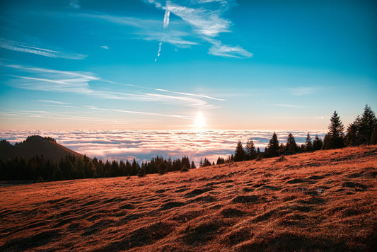 Sonnenaufgang über den Wolken